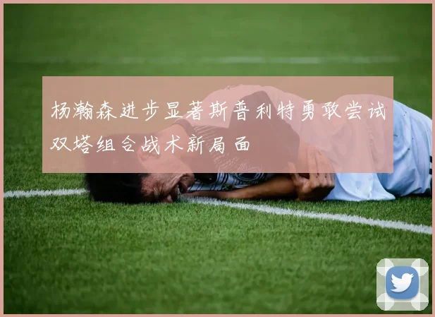 杨瀚森进步显著斯普利特勇敢尝试双塔组合战术新局面